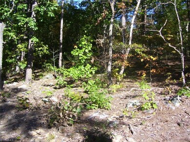 0 Thayer Dr, Asheboro, NC 27205 - photo 4