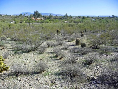 0 N Campbell Ave unit 21400292, Tucson, AZ 85718 - photo 4