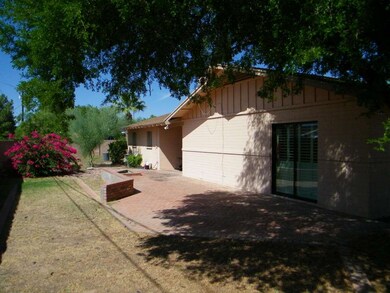 Backyard2