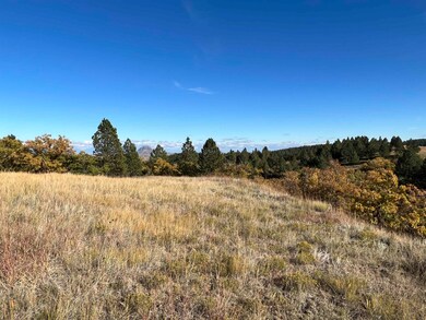 Lot 34 Prairie View Rd unit Dakota Highland Esta, Whitewood, SD 57793 - photo 4