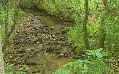 Additional View