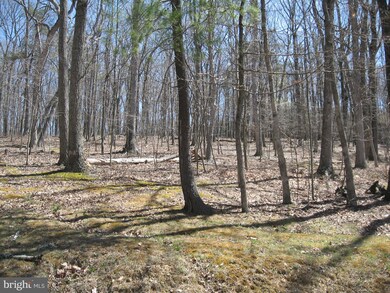 9 Deerwood Ln, Berkeley Springs, WV 25411 - photo 5