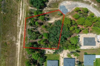 2779 W Tracy Ct, Citrus Springs, FL 34433 - photo 3