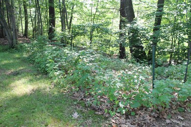 4 Nixon St, Epsom, NH 03234 - photo 4