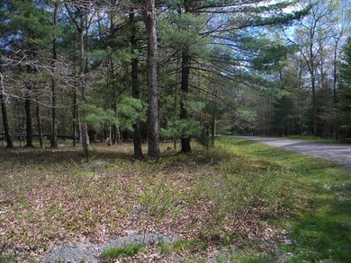 LOT 15 Moonbeam Cir, Palmyra Township, PA 18428 - photo 4