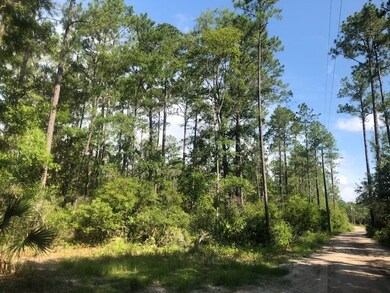 0 Whippoorwill Ln unit 295772, Crawfordville, FL 32327 - photo 2