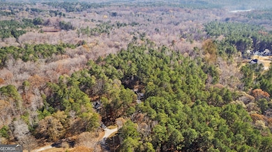 75 Homer Johnson Rd, Newnan, GA 30265 - photo 4