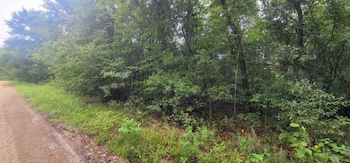 0 Parramore Shores Rd unit 389057, Tallahassee, FL 32310 - photo 5