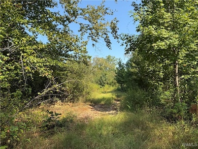 2941 Stardust Dr, Tuscaloosa, AL 35405 - photo 2