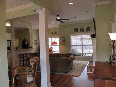 Foyer to Dining and Family Rooms!