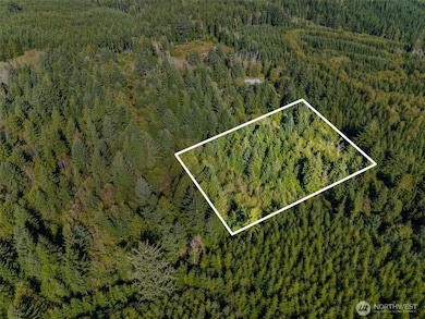 0 Rixon Rd unit NWM2443833, South Bend, WA 98586 - photo 3