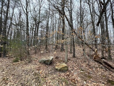 Map 36 Lot 72 A Varney Rd, Barnstead, NH 03225 - photo 4