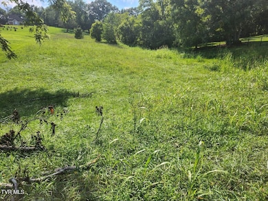 204 Ox Bow Ave, Unicoi, TN 37692 - photo 2