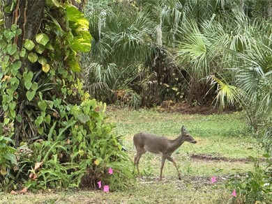 7907 Brower Dr, Bradenton, FL 34211 - photo 4