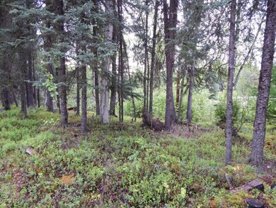 Treed Lot For Privacy