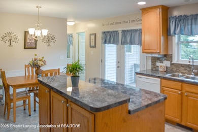 51 Shirlee Ave, Ionia, MI 48846 - photo 5