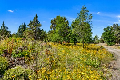 62685 Stenkamp Rd, Bend, OR 97701 - photo 7