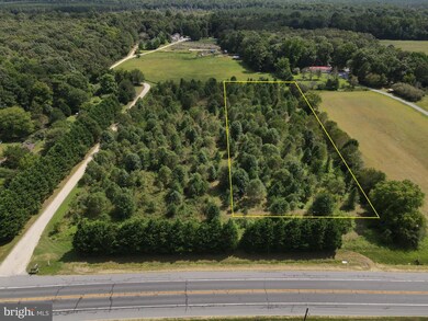 LOT 1 Rt 18 Seashore Hwy, Georgetown, DE 19947 - photo 3