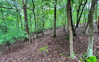 Additional View