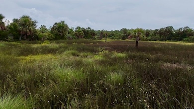 00 Beach Rd unit LotWP001, Perry, FL 32348 - photo 5