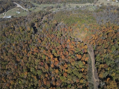 0 Cr 935 unit 1329170, Berryville, AR 72616 - photo 5