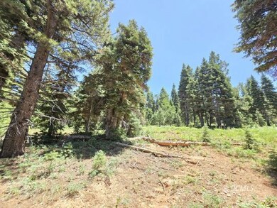 855 W Big Horn Cir, Duck Creek Village, UT 84762 - photo 6