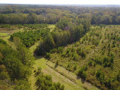 732 acre U S Highway 82, Eufaula, AL 36027 - photo 4