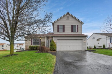 1-web-or-mls-458-albion-st