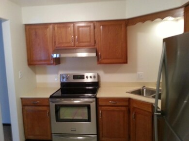 933 W Glen Park Ave unit 101, Griffith, IN 46319 - photo 3