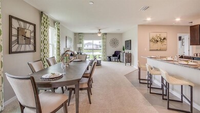 10845 Trailing Vine Dr, Tampa, FL 33610 - photo 2