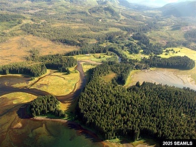 Aerial shot of the Game Creek area