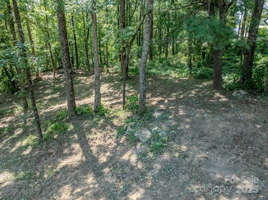 0000 Pinnacle Mountain Rd unit 1, Zirconia, NC 28790 - photo 3