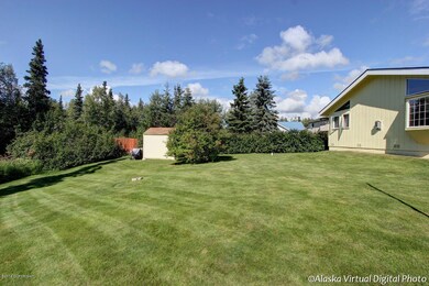 Back Yard/Shed