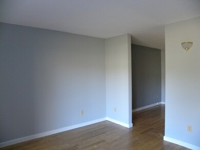 303 Maple Brook Rd, Bellingham, MA 02019 - photo 7