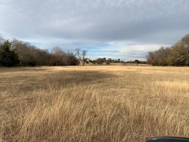 2011 N Lake Dr, Weatherford, TX 76085 - photo 7