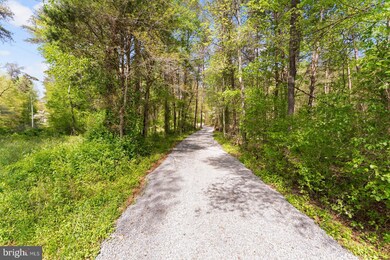 12261 Old Mill Rd, Midland, VA 22728 - photo 7