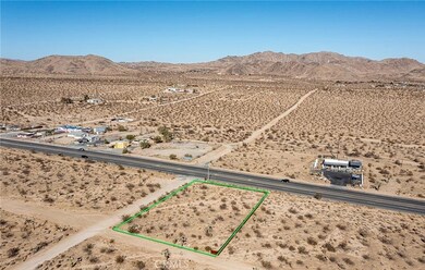 6538 Saddleback Rd, Joshua Tree, CA 92252 - photo 7