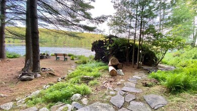 86 Covered Bridge Dr, Palmyra Township, PA 18428 - photo 6