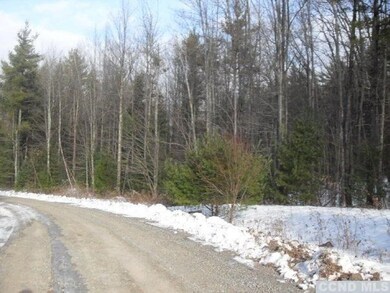 3 Hawthorne Hill Rd, New Lebanon, NY 12125 - photo 2