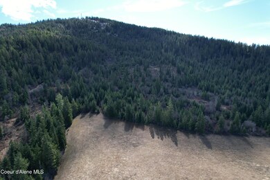 Tract 5 Thimbleberry Ln, Plummer, ID 83851 - photo 5
