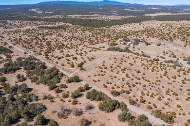 755 Juan Tomas Rd, Tijeras, NM 87059 - photo 4