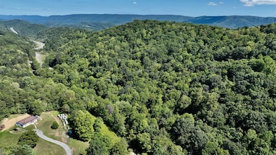 0 Possum Hollow Rd unit 11204653, Oakvale, WV 24740 - photo 2