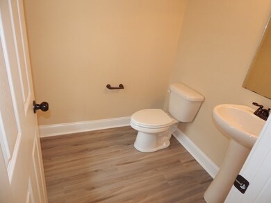 307 Sliding Rock Dr, Pendleton, SC 29670 - photo 3