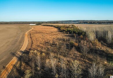 0 Wolf Island Rd, Clinton, KY 42031 - photo 5