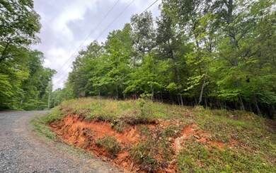 Additional View