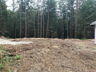 4816 194th Place NW, Stanwood, WA 98292 - photo 3