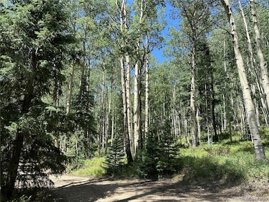 Lots 7-12 Calkins St, Jasper, CO 81132 - photo 6