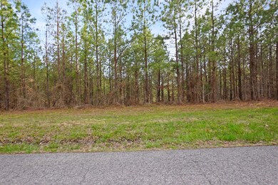 21 Cottrell Ridge Rd, Dover, TN 37058 - photo 2