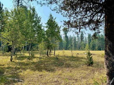 2.5 High Valley Rd, Cascade, ID 83611 - photo 2
