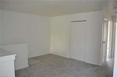 living room with brand new carpet